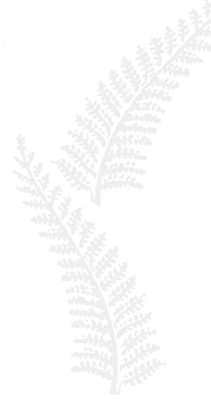 professional, high quality german and english translations